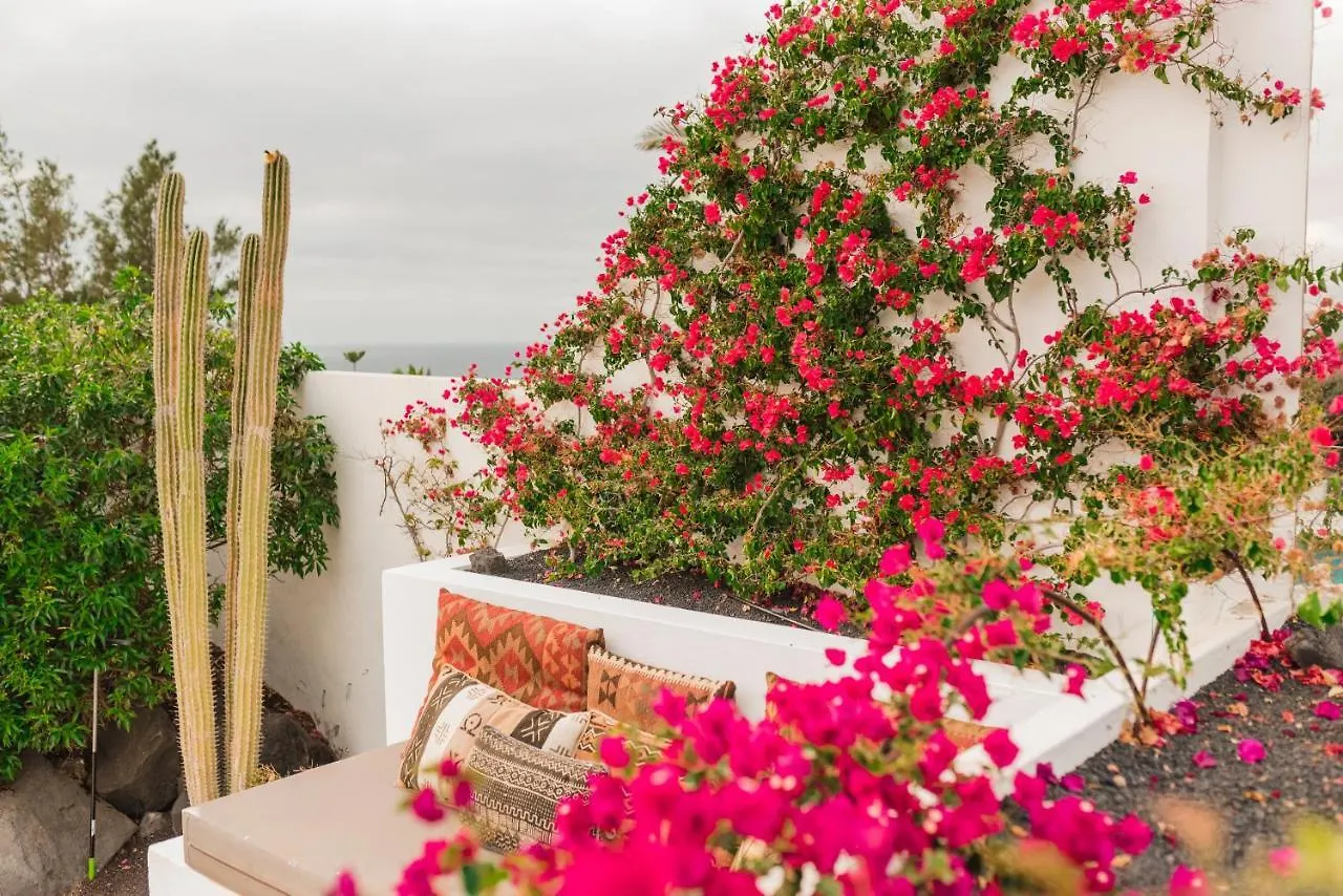 Casa Sua Hotel Famara 0*,  Spain